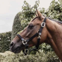Kentucky Halster Gevlochten Nylon Zwart