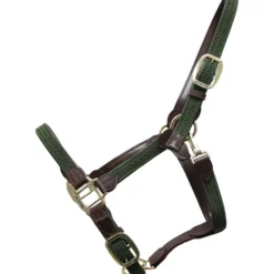 Kentucky Halster Gevlochten Nylon Olive Green