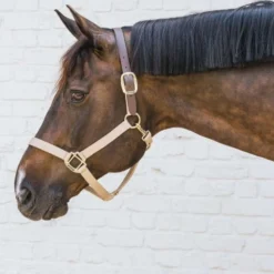 Kentucky Halster Nylon Breakaway Nek stuk Bruin