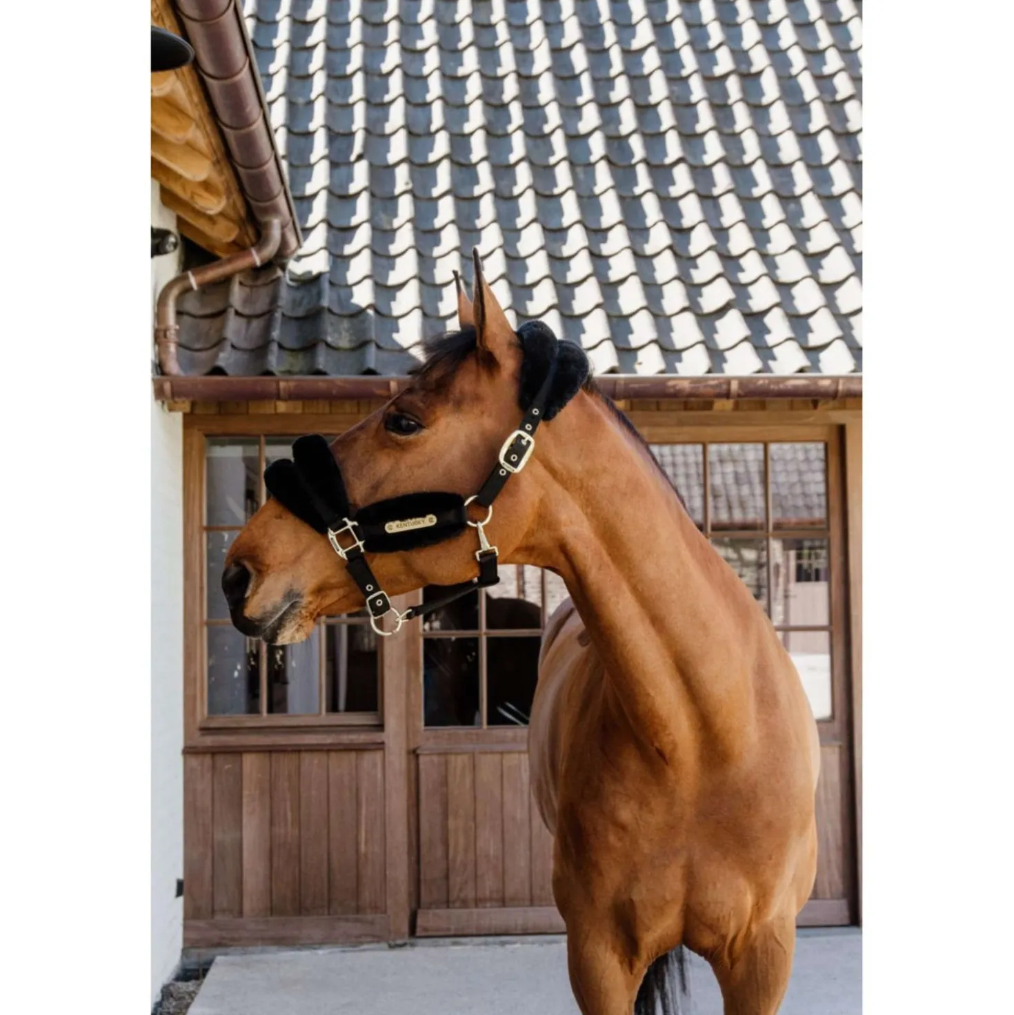 Kentucky Halster Nylon Wol Soft Zwart