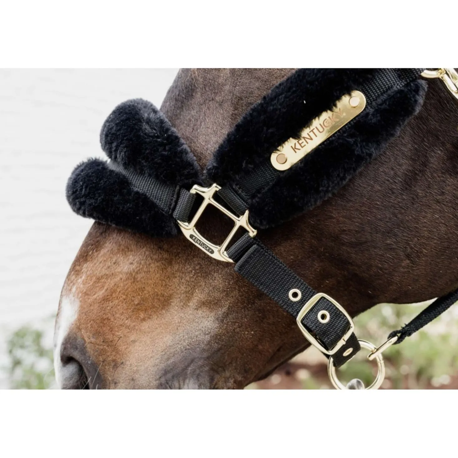 Kentucky Halster Nylon Wol Soft Zwart