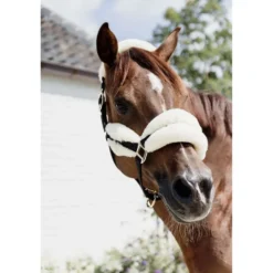Kentucky Halster Nylon Wol Soft Naturel