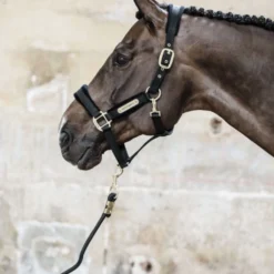 Kentucky Halstertouw Basic Black