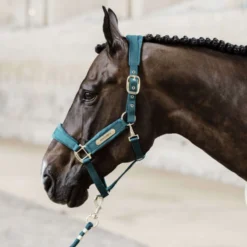 Kentucky Halstertouw Basic Emerald