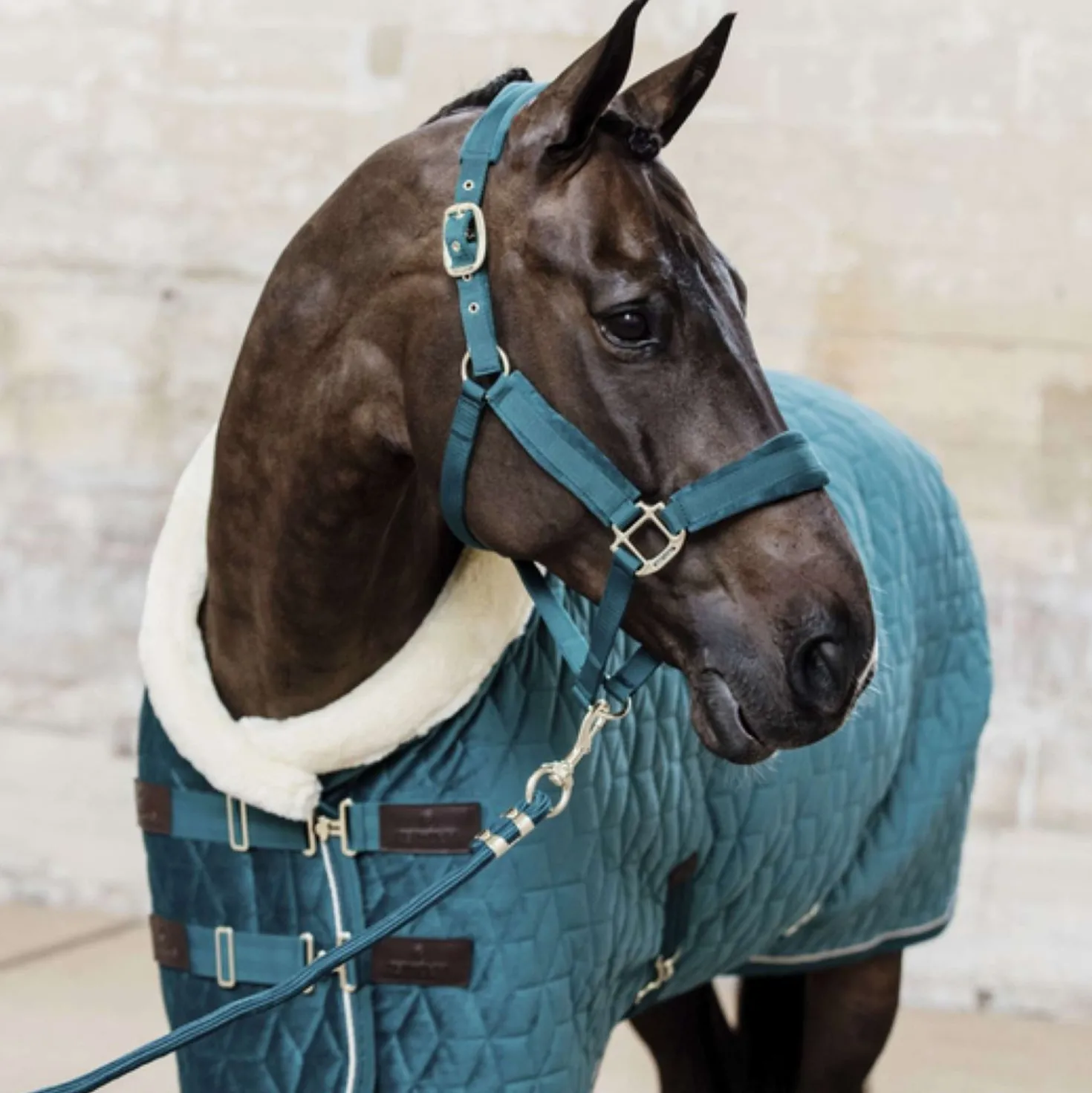 Kentucky Halstertouw Basic Emerald