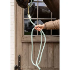 Kentucky Halstertouw Basic Mint