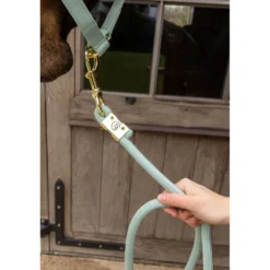 Kentucky Halstertouw Basic Mint