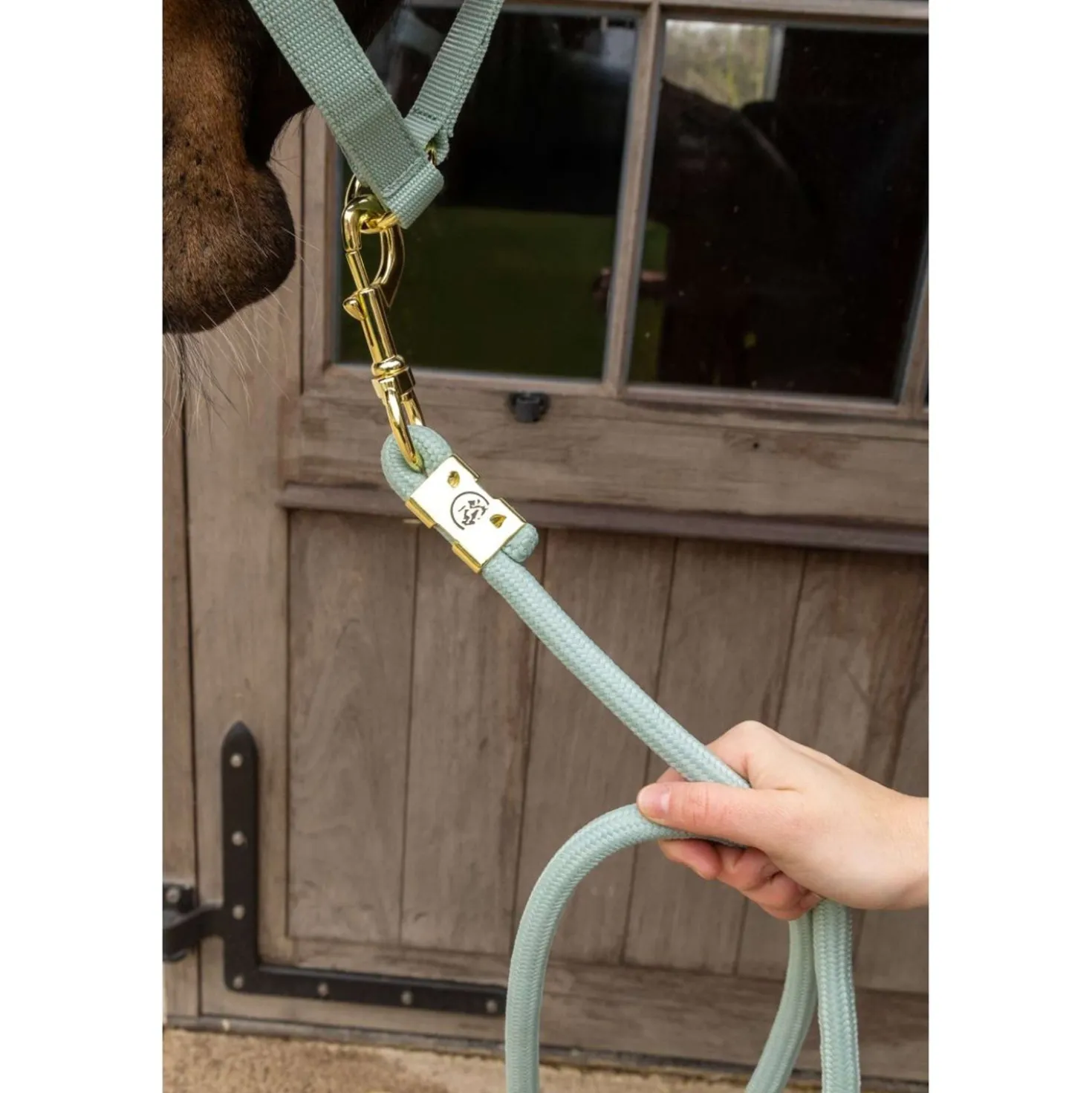 Kentucky Halstertouw Basic Mint