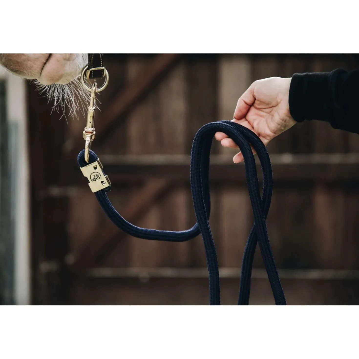 Kentucky Halstertouw Basic Navy