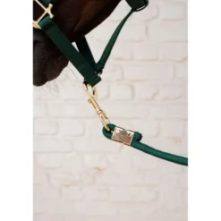 Kentucky Halstertouw Basic Pine Green