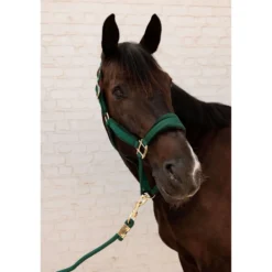 Kentucky Halstertouw Basic Pine Green