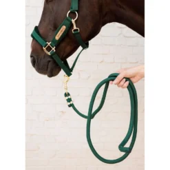 Kentucky Halstertouw Basic Pine Green