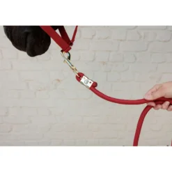 Kentucky Halstertouw Basic Rood
