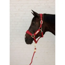 Kentucky Halstertouw Basic Rood