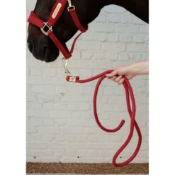 Kentucky Halstertouw Basic Rood