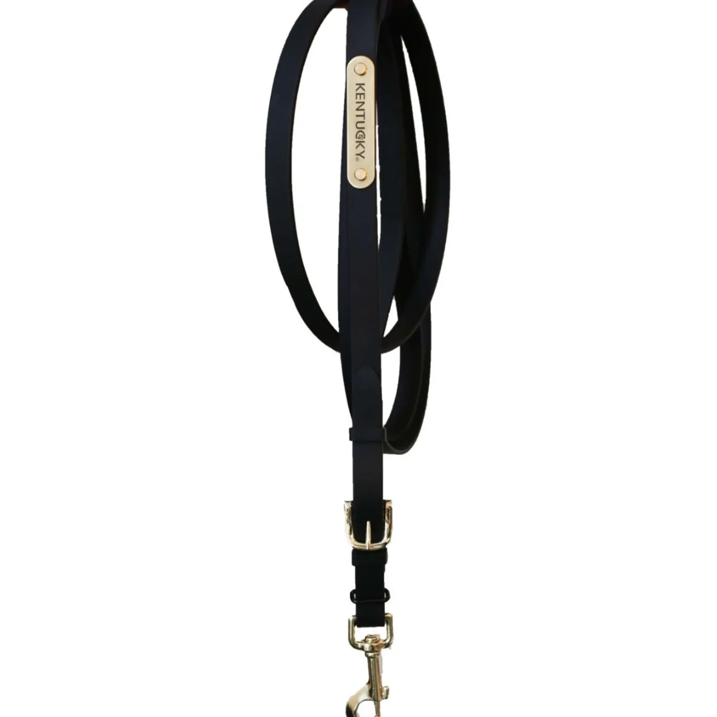 Kentucky Halstertouw Black