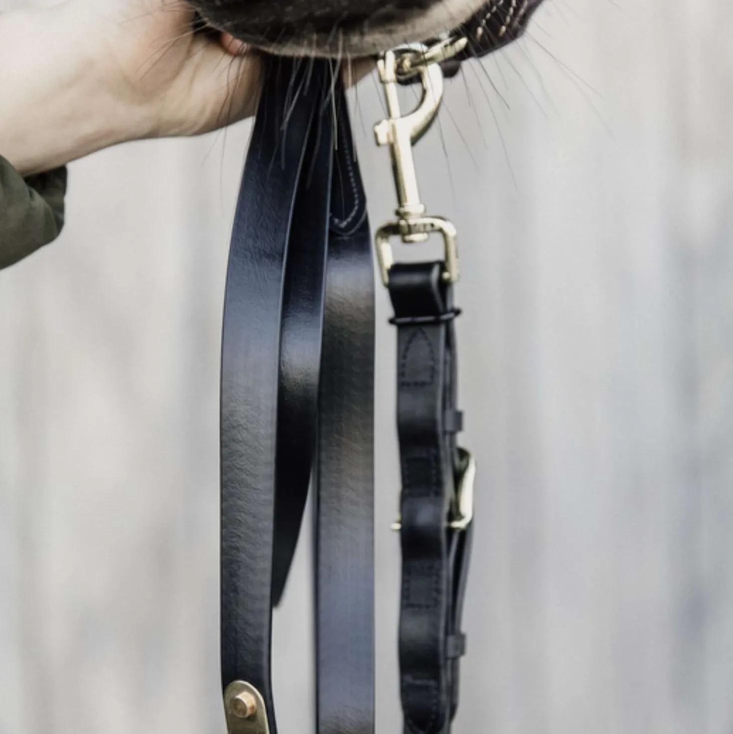 Kentucky Halstertouw Black