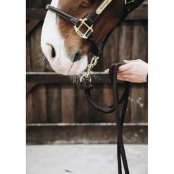 Kentucky Halstertouw Loop Brown