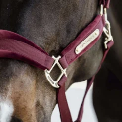 Kentucky Halster Velvet Bordeaux