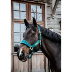 Kentucky Halster Velvet Emerald