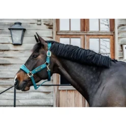 Kentucky Halster Velvet Emerald