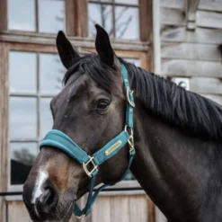 Kentucky Halster Velvet Emerald