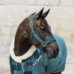 Kentucky Halster Velvet Emerald