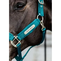 Kentucky Halster Velvet Emerald