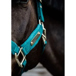 Kentucky Halster Velvet Emerald