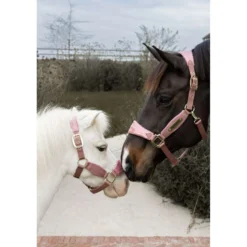Kentucky Halster Velvet Glitter Unicorn Oud Roze