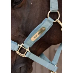 Kentucky Halster Velvet Lichtblauw