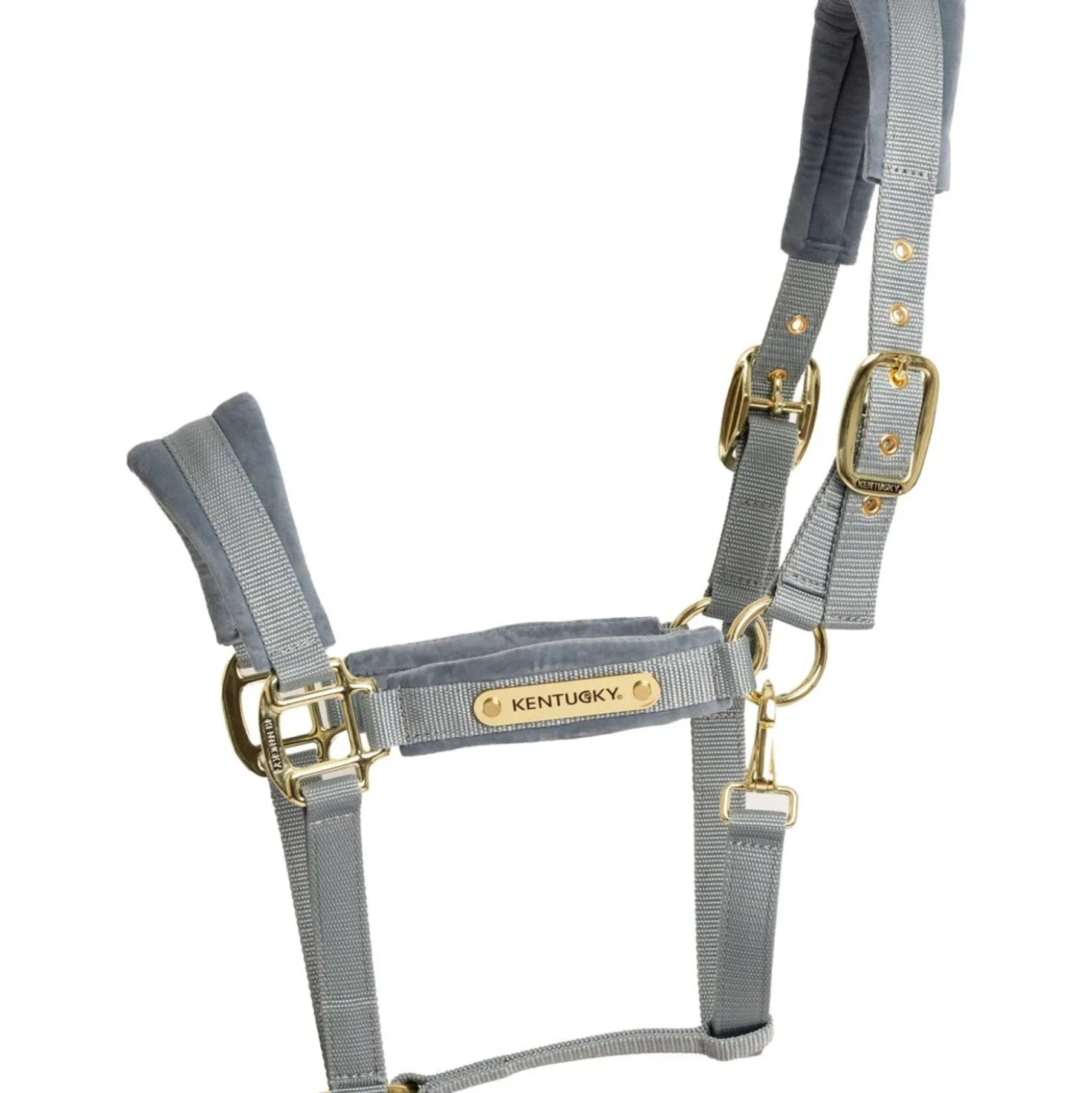 Kentucky Halster Velvet Lichtblauw