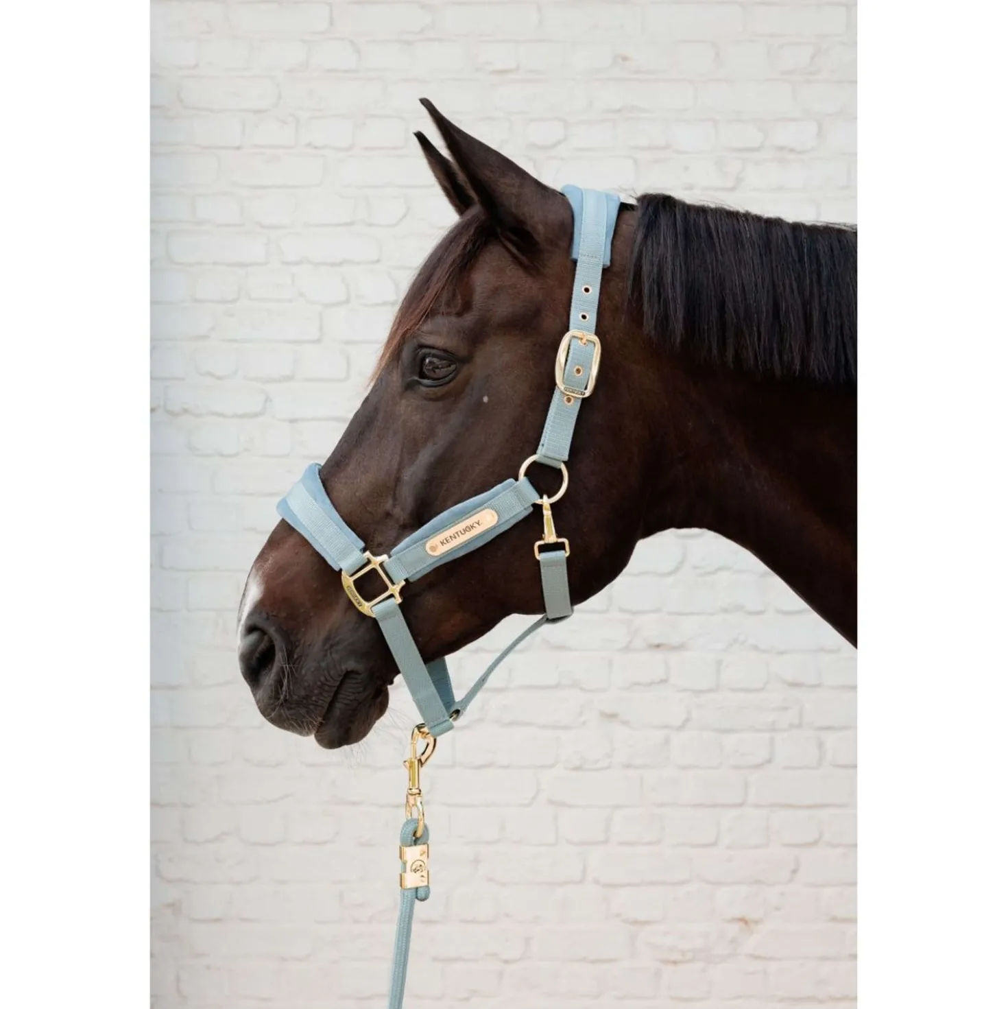 Kentucky Halster Velvet Lichtblauw