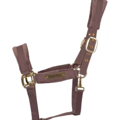 Kentucky Halster Velvet Lichtpaars