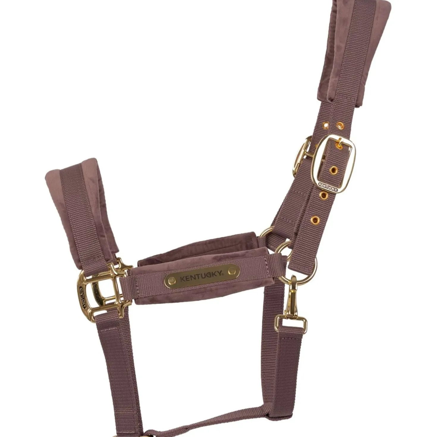Kentucky Halster Velvet Lichtpaars