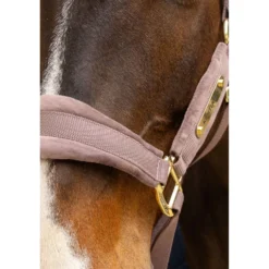 Kentucky Halster Velvet Lichtpaars