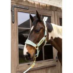 Kentucky Halster Velvet Mint