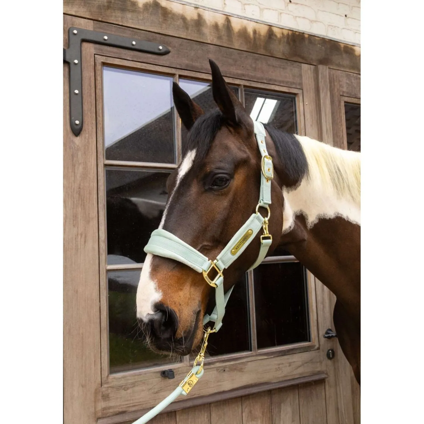 Kentucky Halster Velvet Mint