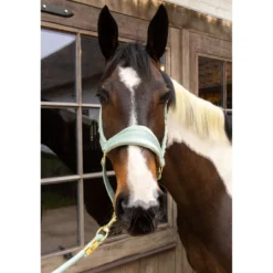Kentucky Halster Velvet Mint