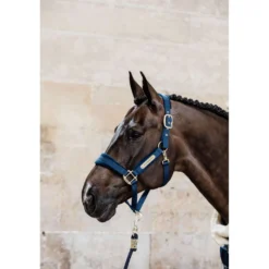 Kentucky Halster Velvet Navy