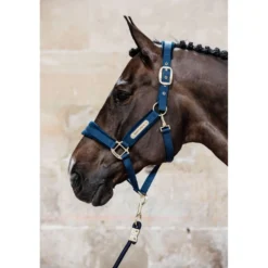 Kentucky Halster Velvet Navy