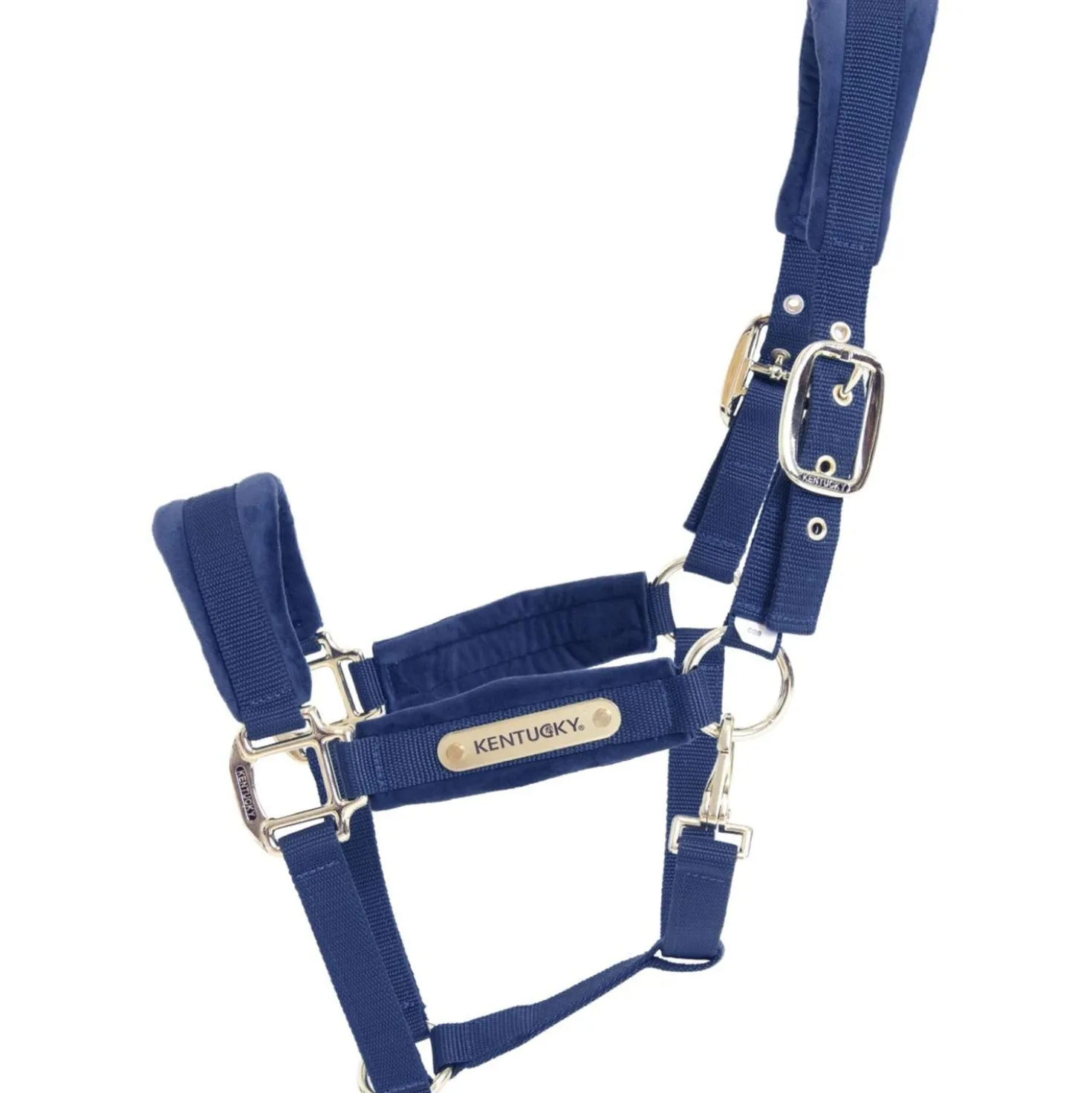 Kentucky Halster Velvet Navy