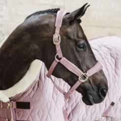 Kentucky Halster Velvet Oud Roze