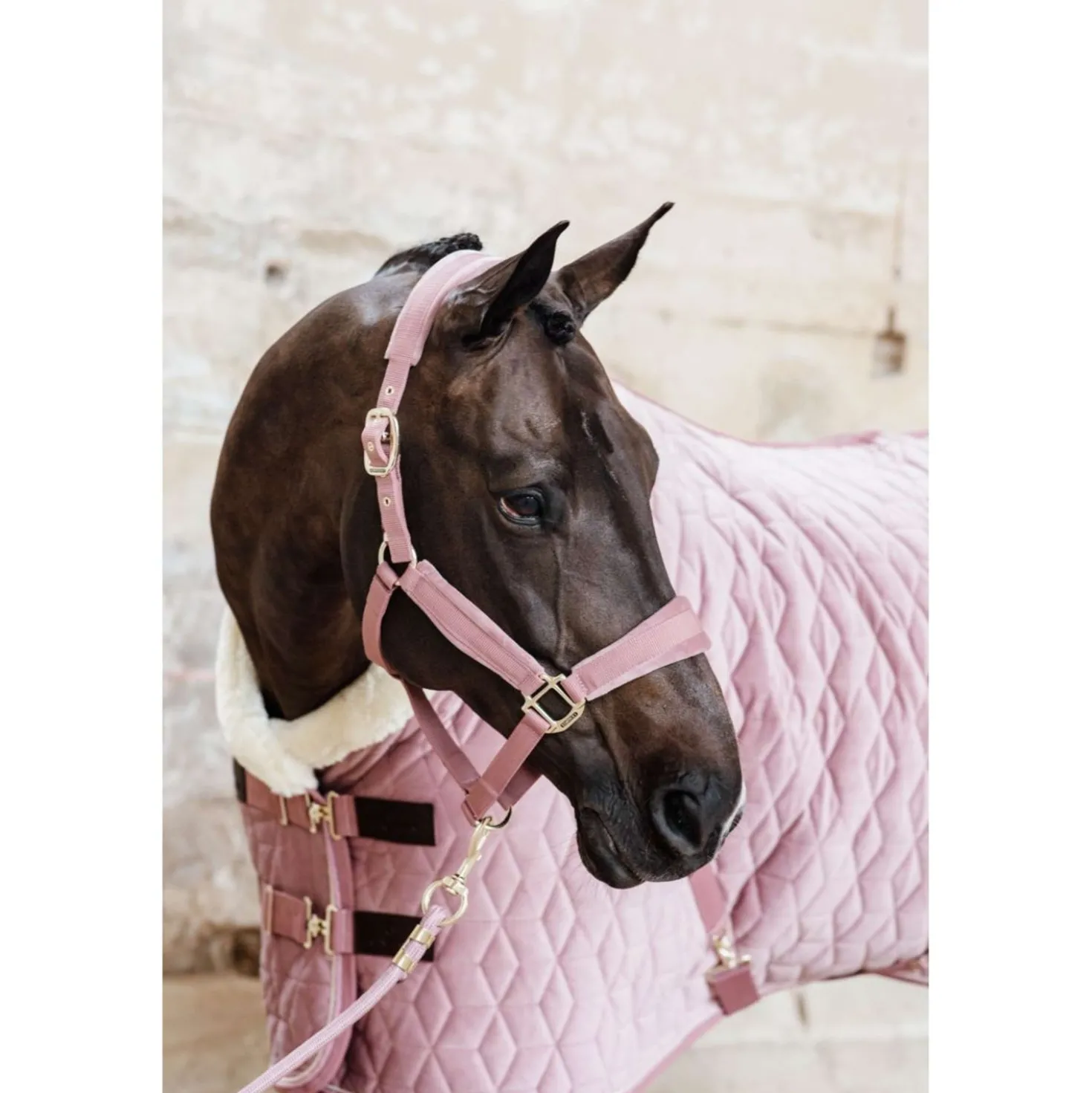 Kentucky Halster Velvet Oud Roze