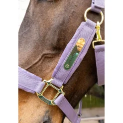Kentucky Halster Velvet Paars