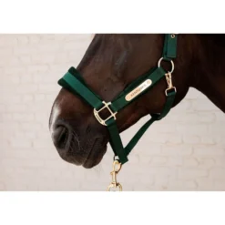 Kentucky Halster Velvet Pine Green