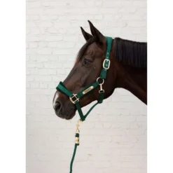 Kentucky Halster Velvet Pine Green