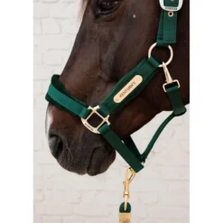 Kentucky Halster Velvet Pine Green