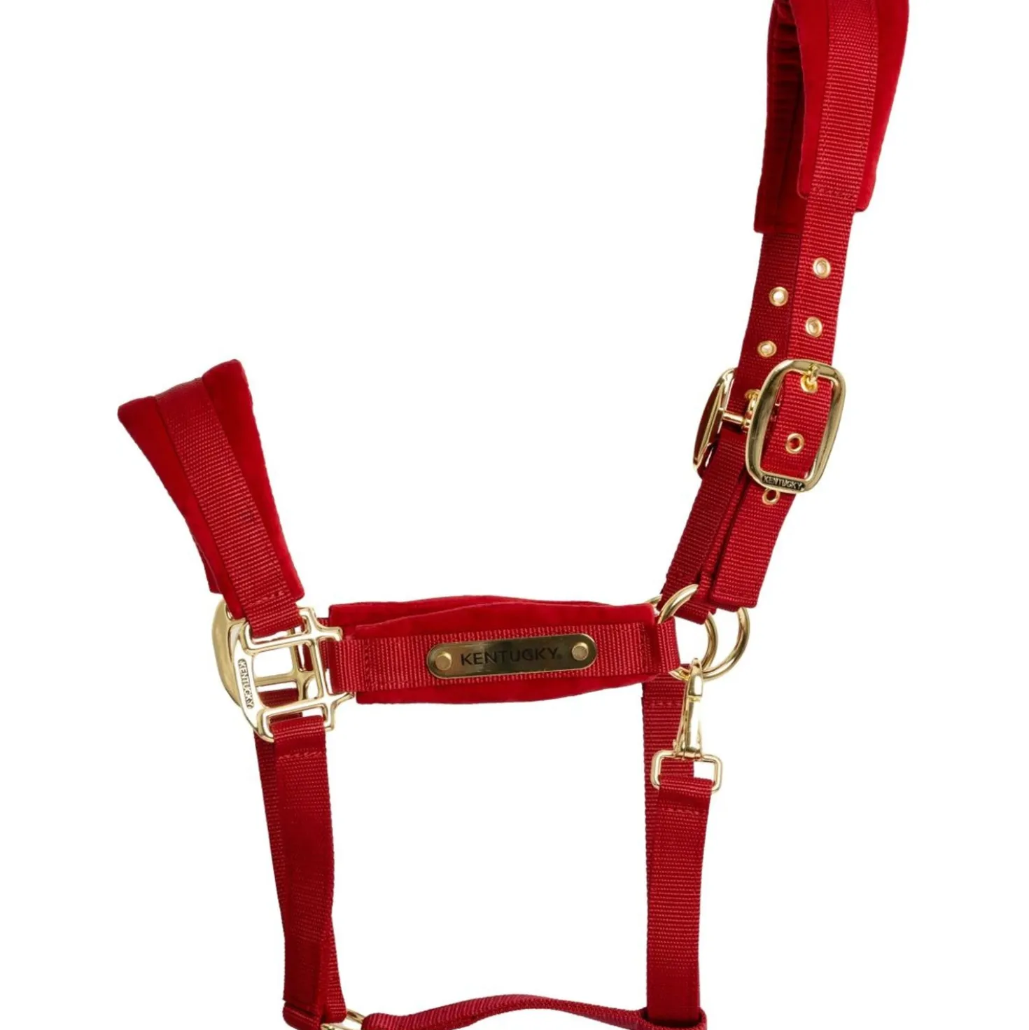 Kentucky Halster Velvet Rood
