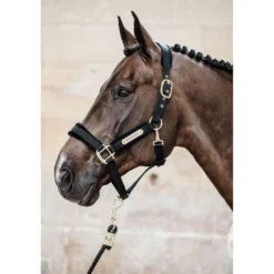 Kentucky Halster Velvet Zwart